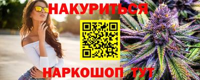 индика Будённовск