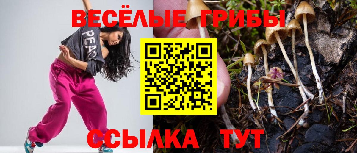 Галлюциногенные грибы мухоморы Самара