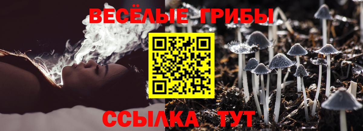 Псилоцибиновые грибы GOLDEN TEACHER  Вход с VPN  Самара  Псилоцибиновые грибы прущие грибы 