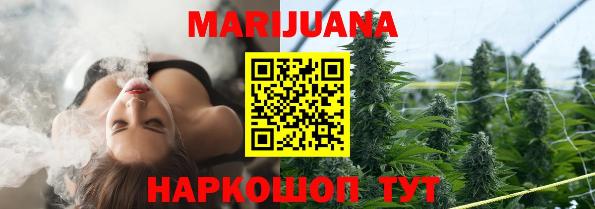 Конопля Bruce Banner  Бошки Шишки конопля  Вход с VPN  Марихуана планчик  Самара 